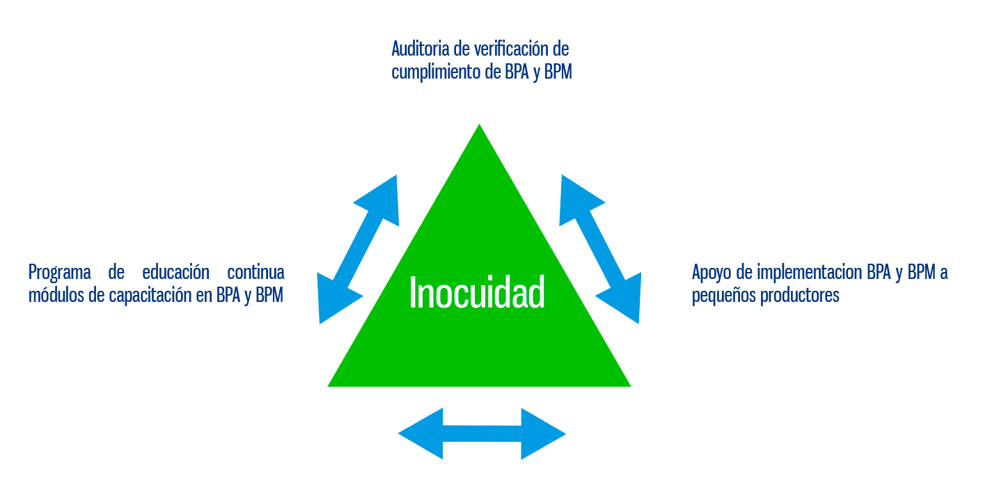 inocuidad