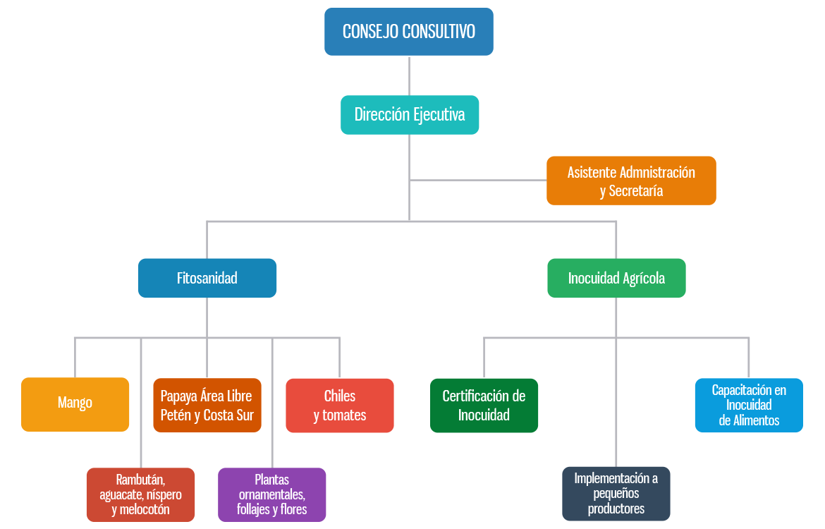organigrama